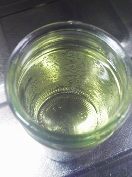 10505.JPG