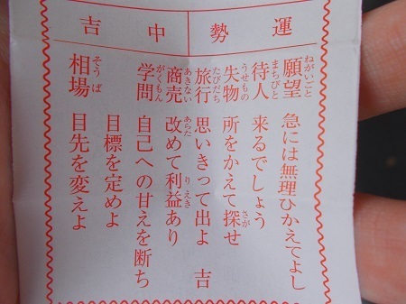 20210856.JPG