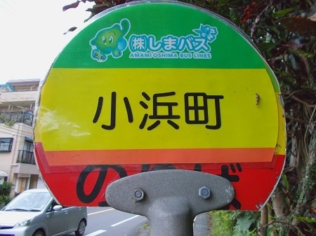 202205naze033.JPG