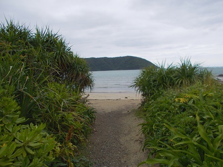 202205naze079.JPG