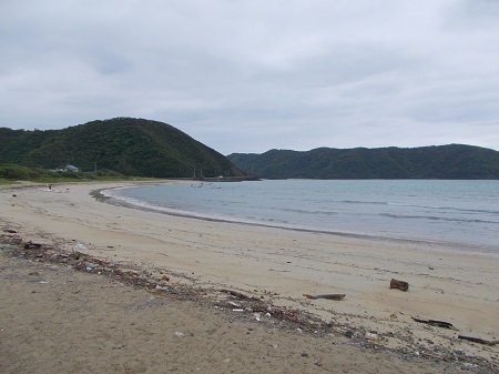 202205naze080.JPG
