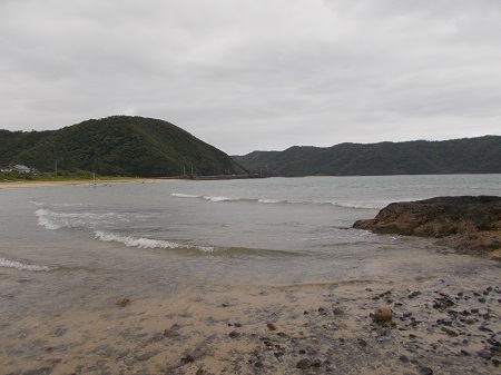 202205naze090.JPG