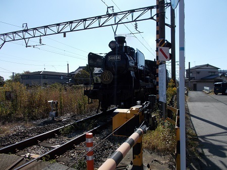 202311fko042.JPG