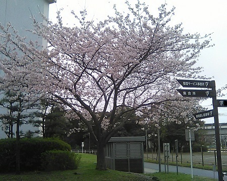 29549.jpg