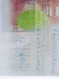 6311.JPG