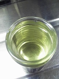 6560.JPG