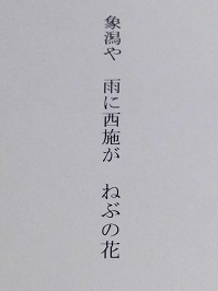 7157.JPG