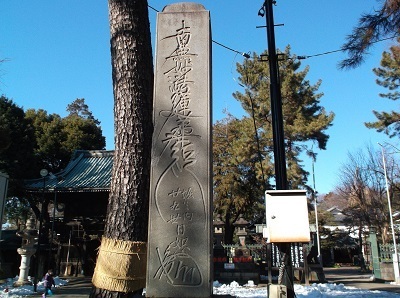 aji37.JPG