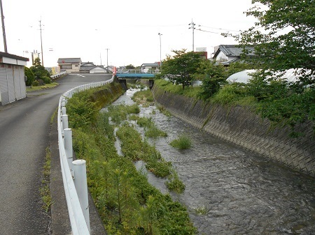 gomenaha135.JPG