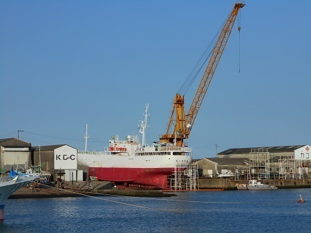 gomenaha165.JPG