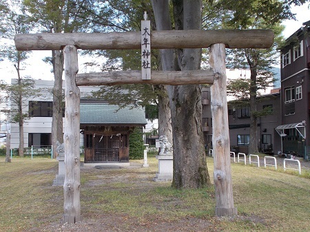 sawashi009.JPG