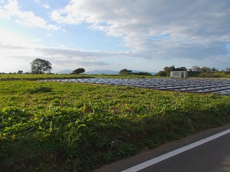 shimabara131.JPG