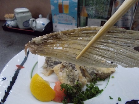 taneyaku055.JPG
