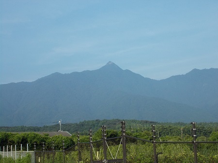 taneyaku064.JPG