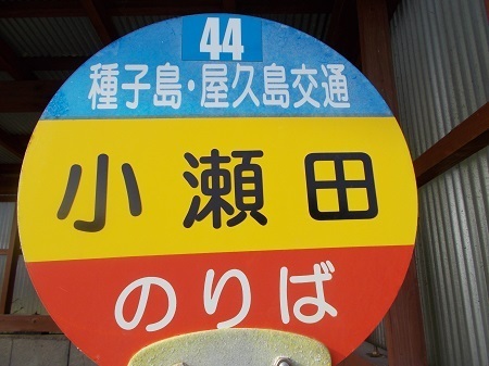 taneyaku074.JPG