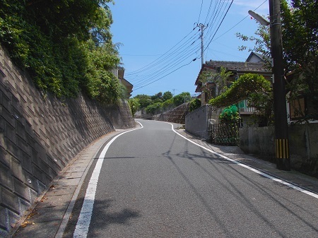 taneyaku097.JPG