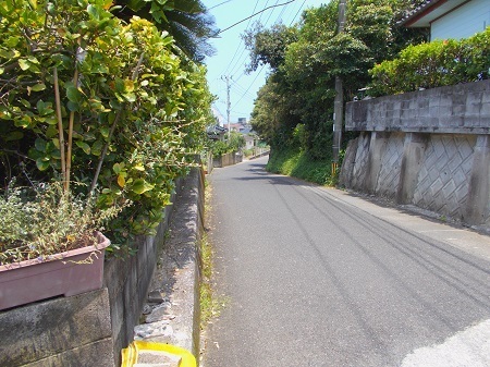 taneyaku098.JPG