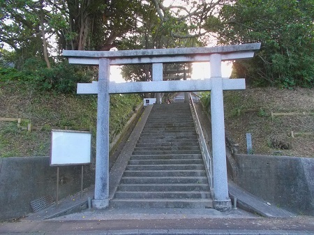 taneyaku124.JPG