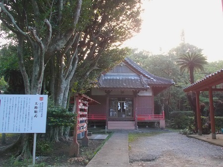 taneyaku127.JPG