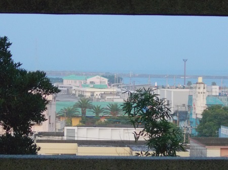 taneyaku128.JPG
