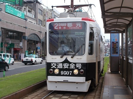 taneyaku152.JPG