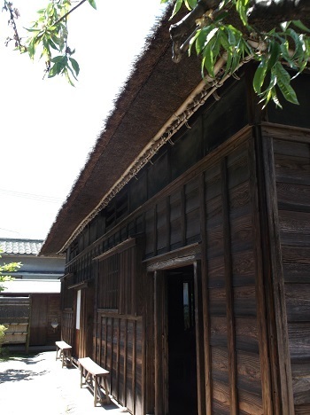 urayasu17.JPG
