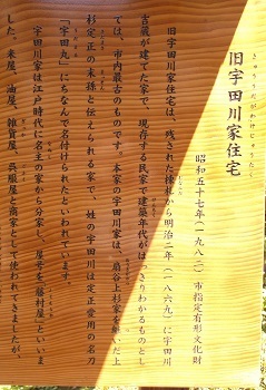 urayasu24.JPG